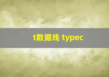 t数据线 typec